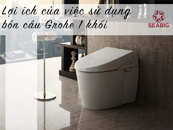 Lợi ích của việc sử dụng bồn cầu grohe 1 khối
